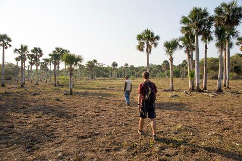 Cuba Nature Travel